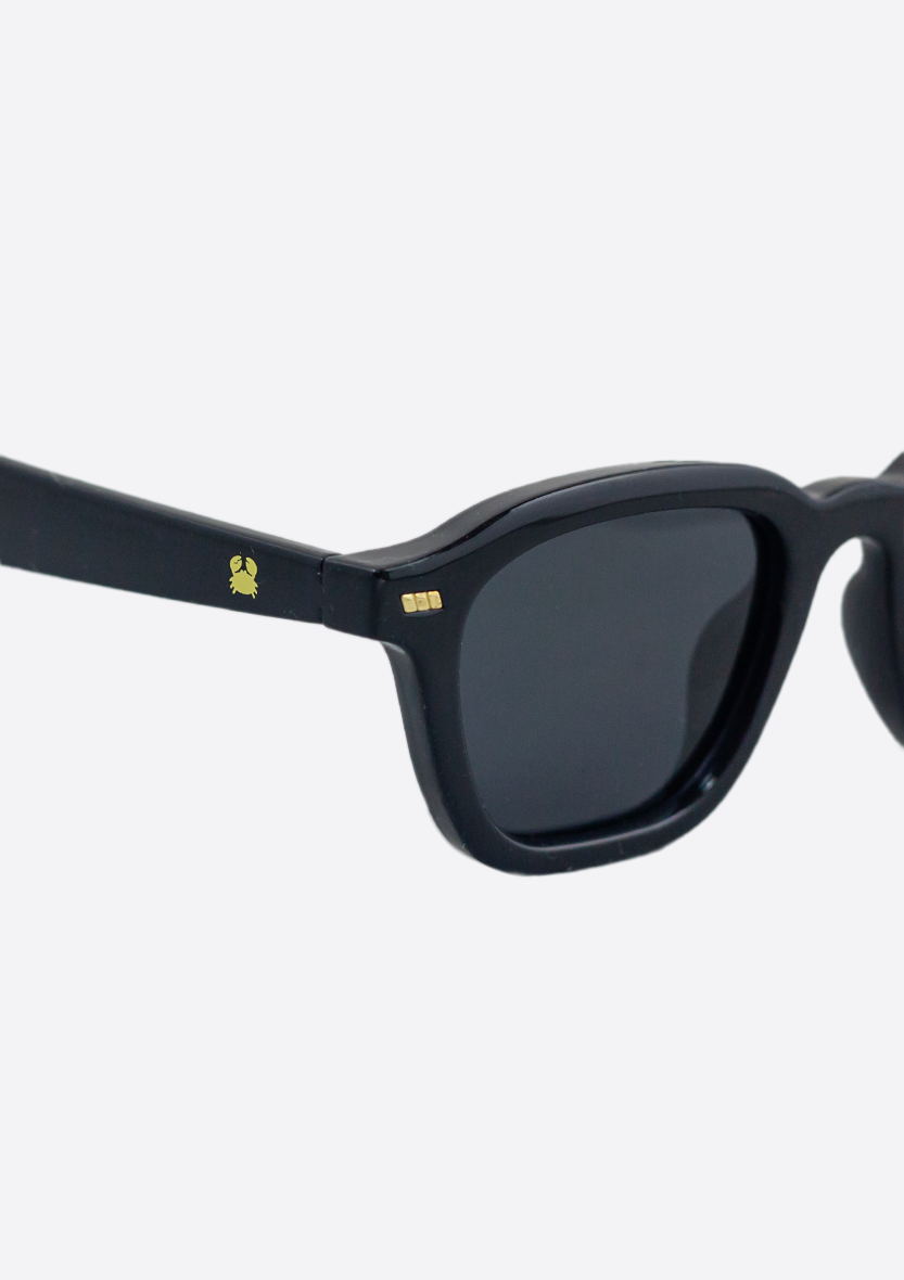 Neda Shiny Black Sunglasses