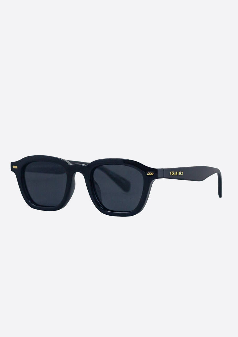 Neda Shiny Black Sunglasses