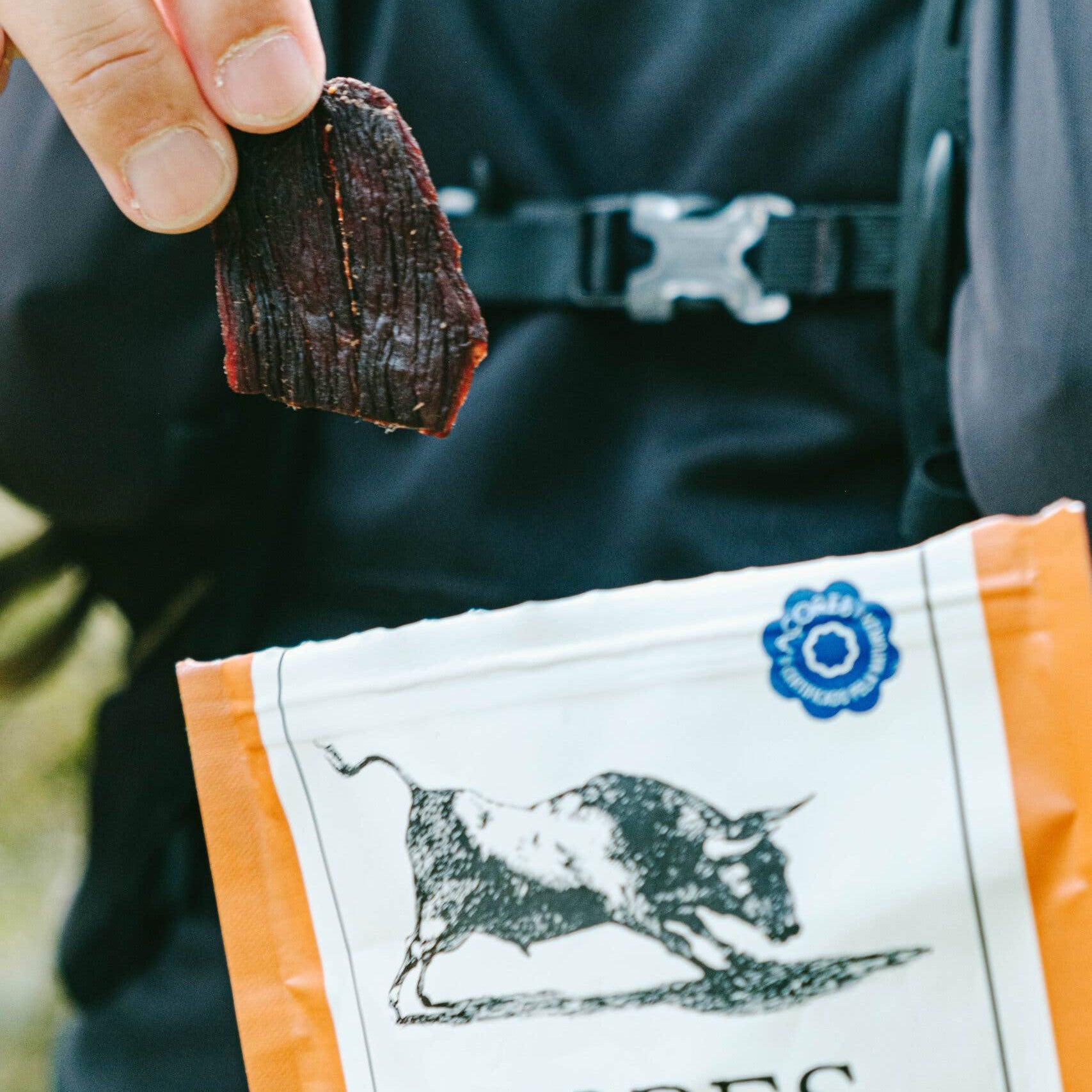 Pack of Azores Beef Jerky gift idea