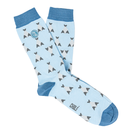 "Baby Blue Cod" Cotton Socks | "Bacalhau" | Socks | Iberica - Pretty things from Portugal