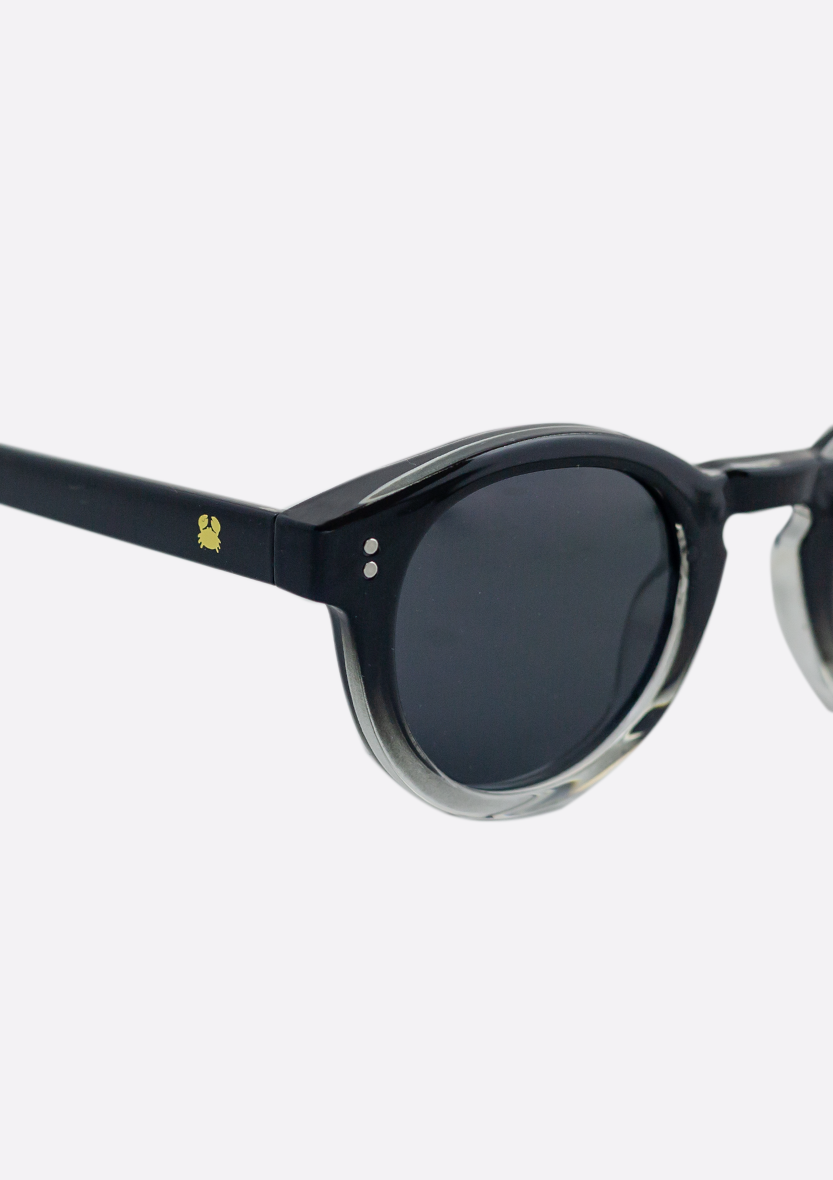 Sunglasses (Polarized) - Shiny Gradient Black Frame