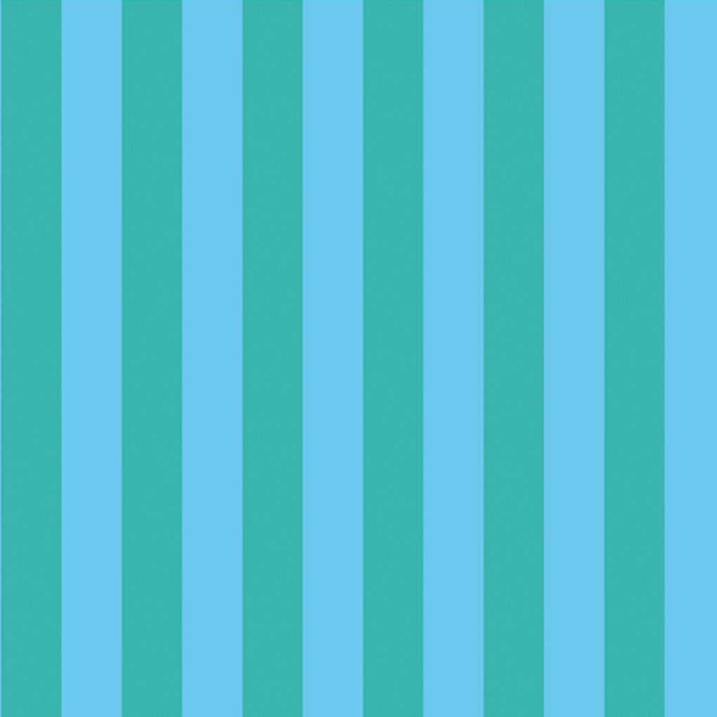 Bold Stripe Case