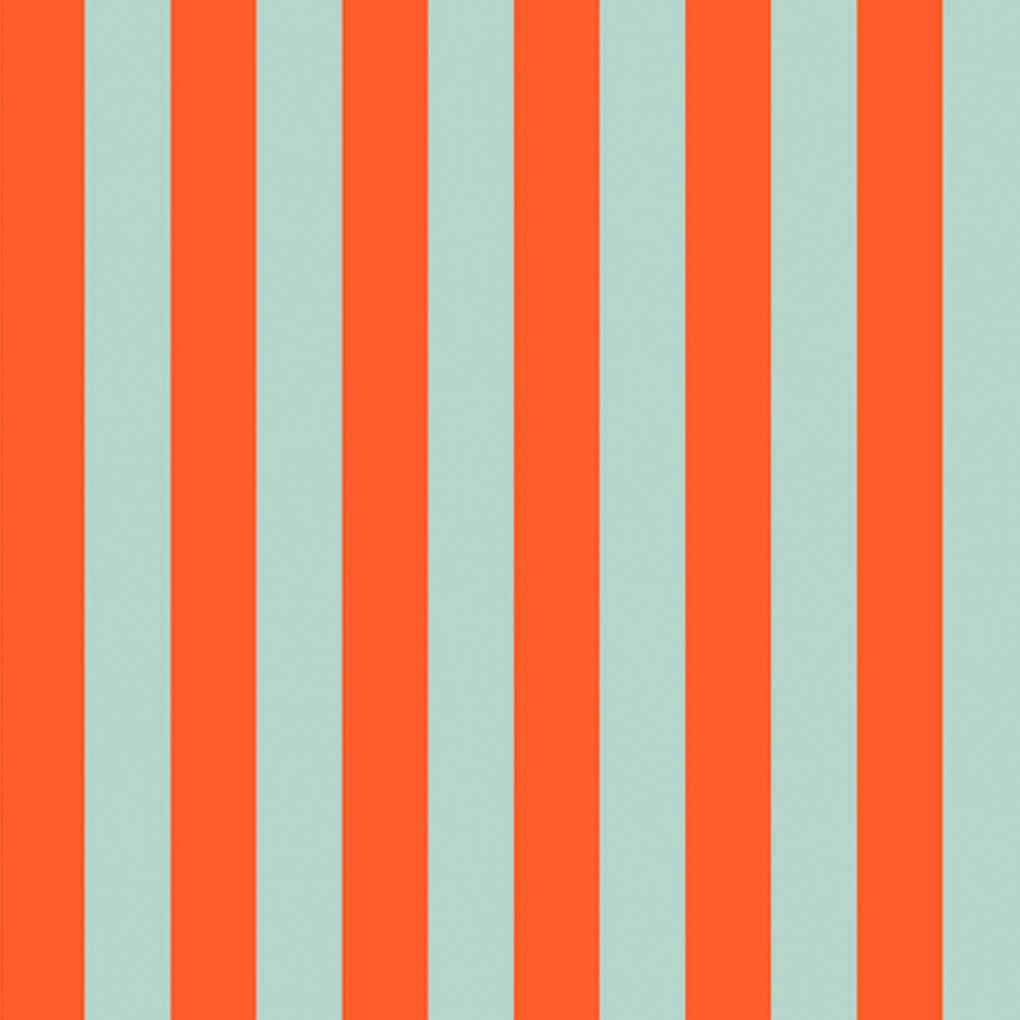 Bold Stripe Case