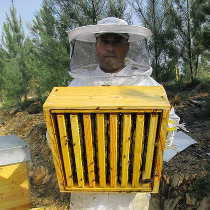 beekeeper from portugal making honey with rosemary